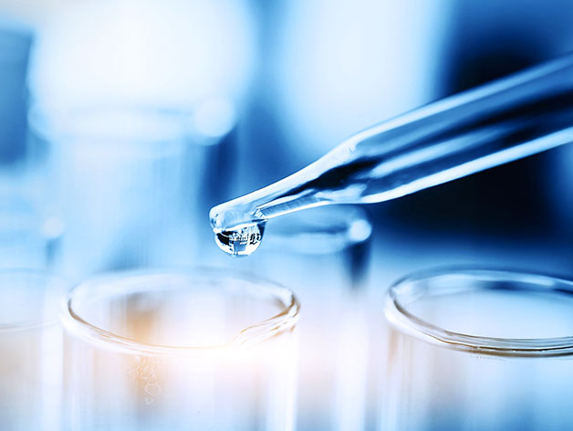 Pharma Commercialization - Market Update 2025