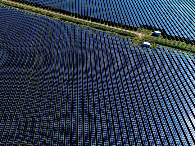 Sustainability Advisory Services - Quarterly Trends - Q1 2025