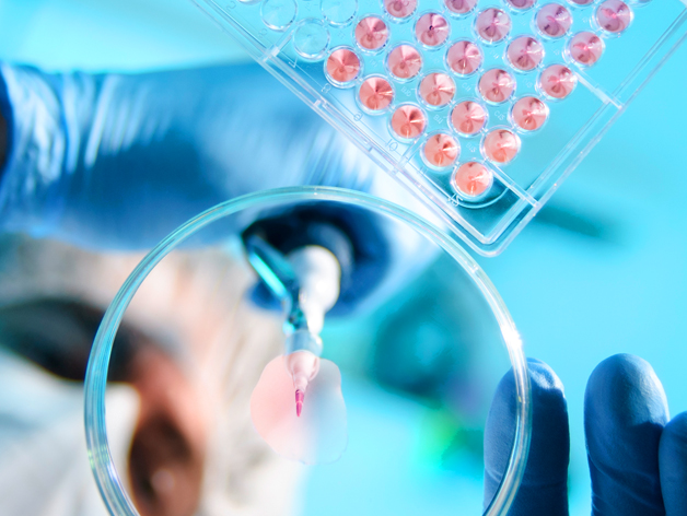 Testing, Inspection, Certification, and Compliance Market Update — Summer 2025