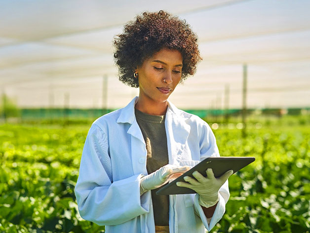 Environmental Services Market Update - Q3 2025