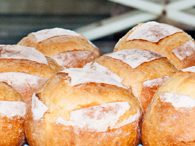 Bakery Sector Update: An Attractive Opportunity for Modernization-Minded Investors
