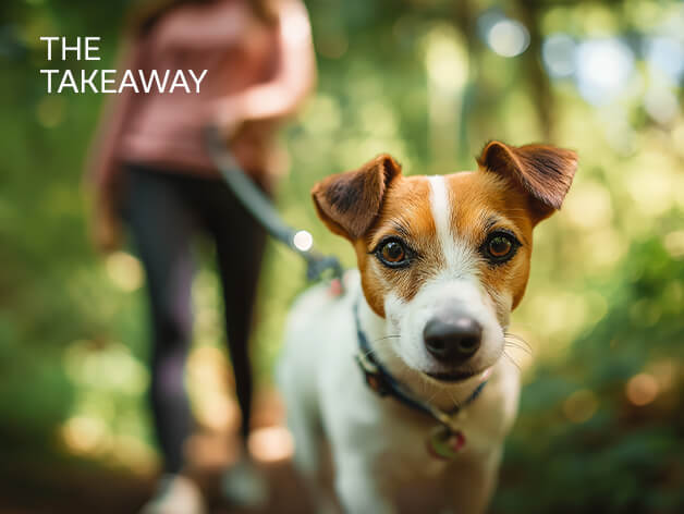 The Takeaway: A Q&A With Eric Samuels on the Pet Consumables Sector