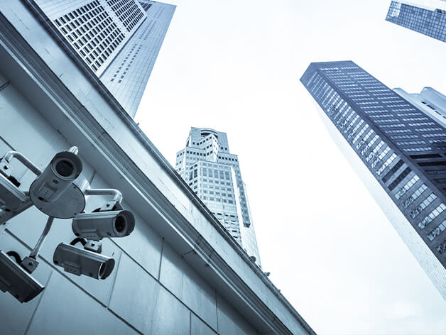 Security and Safety Solutions Industry Update - Q1 2025