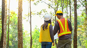 Forest managers overseeing forestry operations