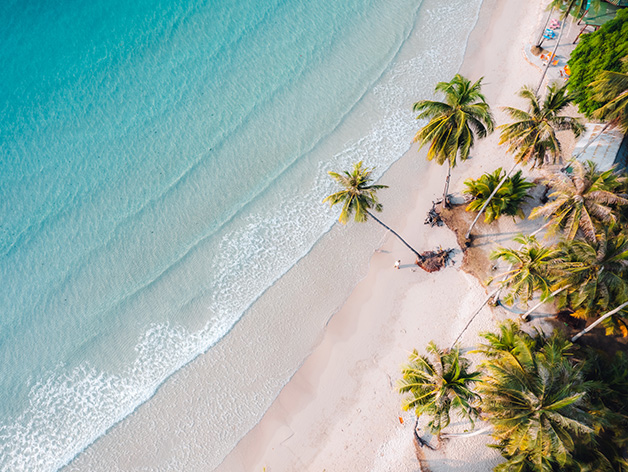 Travel Sector Update - H1 2025