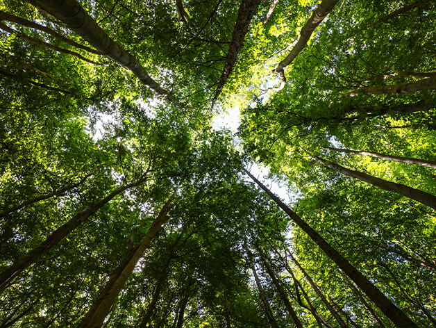 Environmental Services Market Updates - Q1 2025